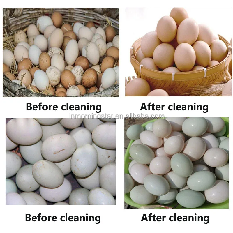 High efficient Duck chicken eggs washing sorting cleaning grading machine egg process line