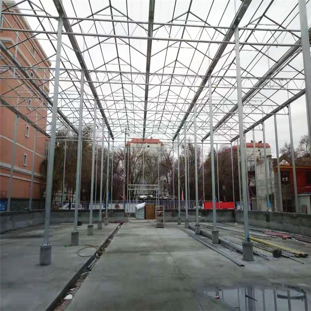 Venlo tempered glass/float glass greenhouse with hydroponic growing