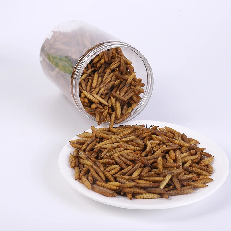 Premium Dried Black Soldier Fly Larvae Pet food High protein and natural High-Quality and Sustainable Insect Larvae