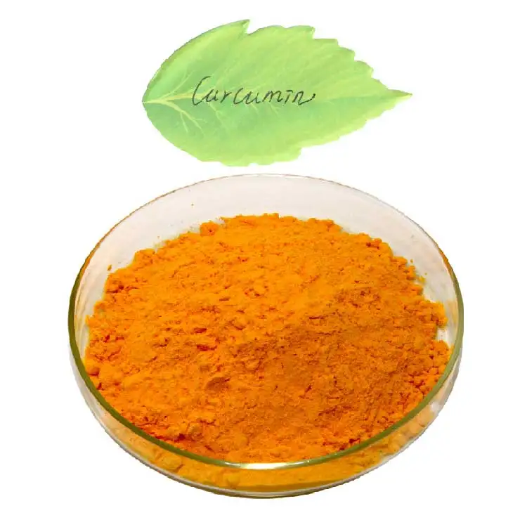 Pure Turmeric Extract 95 Powder Price 95% Curcumin