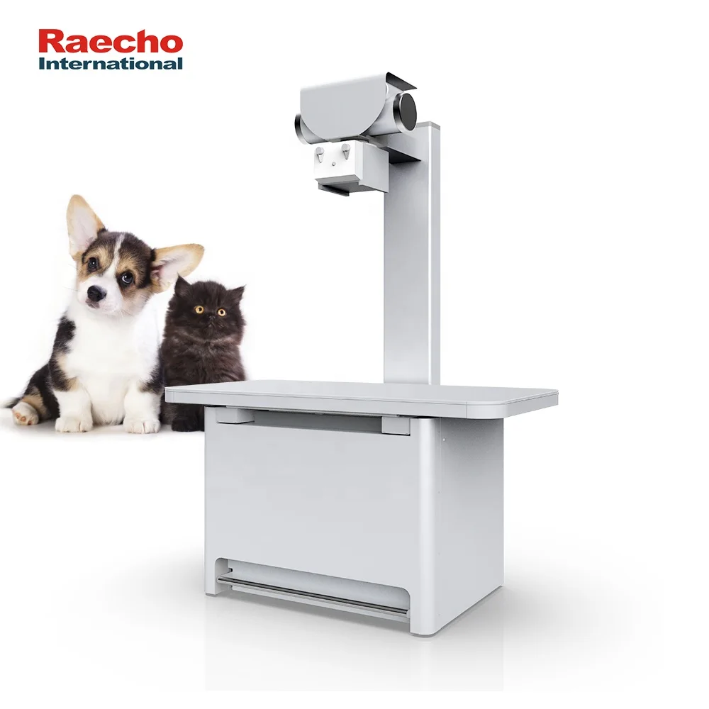 Animal & Veterinary Apparatus Digital X-ray Machine for Veterinary Use Vet Equipment