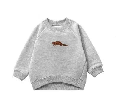 
Boys hoody Autumn winter wholesale custom embroidery thick french terry sweatshirts for kids 