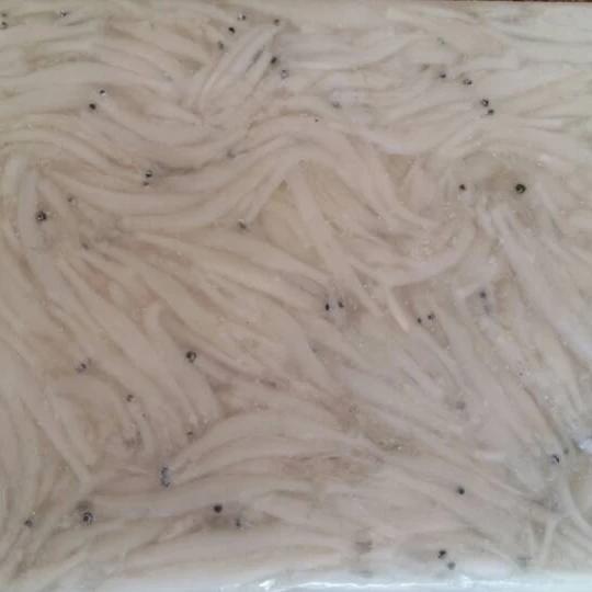 Factory Direct Sale Chinese Frozen Landing 2-4cm Silver Fish New Frozen Silver Fish