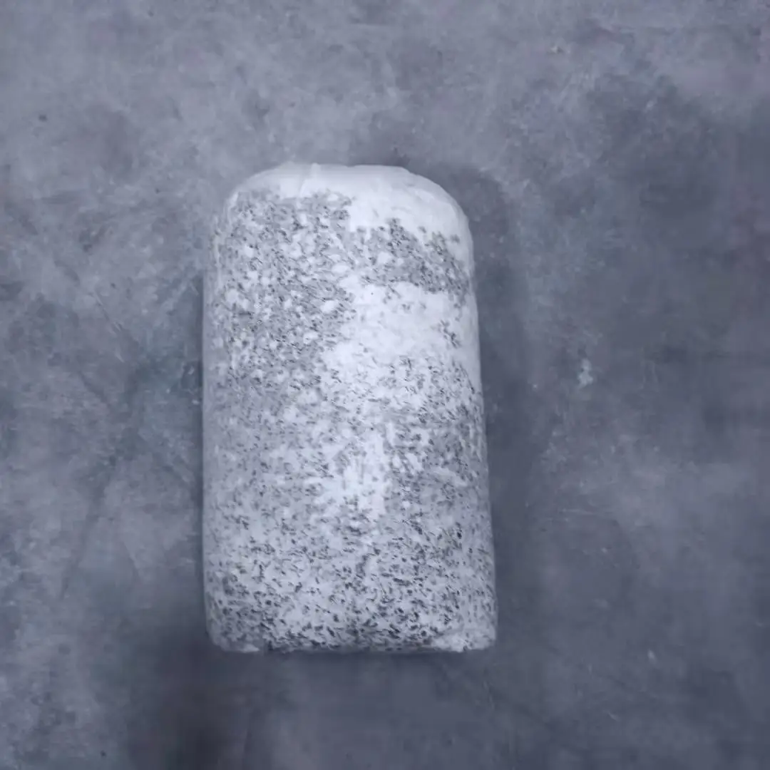 high harvest Farm organic fruitwood grey oyster mushroom spawn logs seeds oyster mushroom sticks