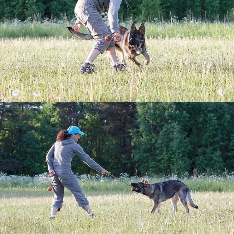 Natural Rubber Dog Interactive and Training Ball  Pet Toothbrush Toy Dog Chew Ball Toy with Rope