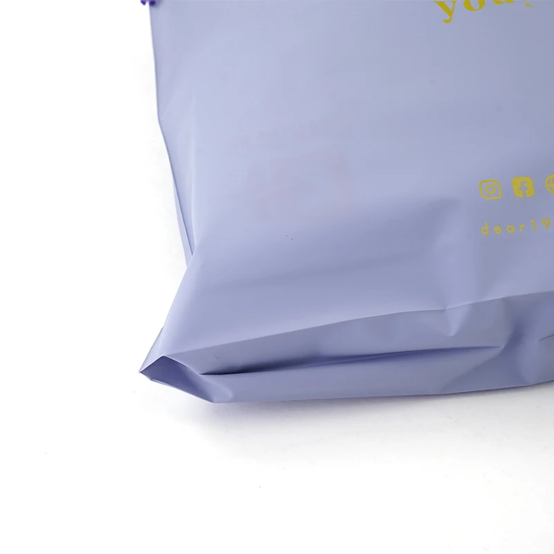 Manufacturer-Drawn Custom Logo PE Frosted Transparent PVC LDPE Plastic Bag Shoes Clothing Valved Sealing Handle Fruit Cosmetic