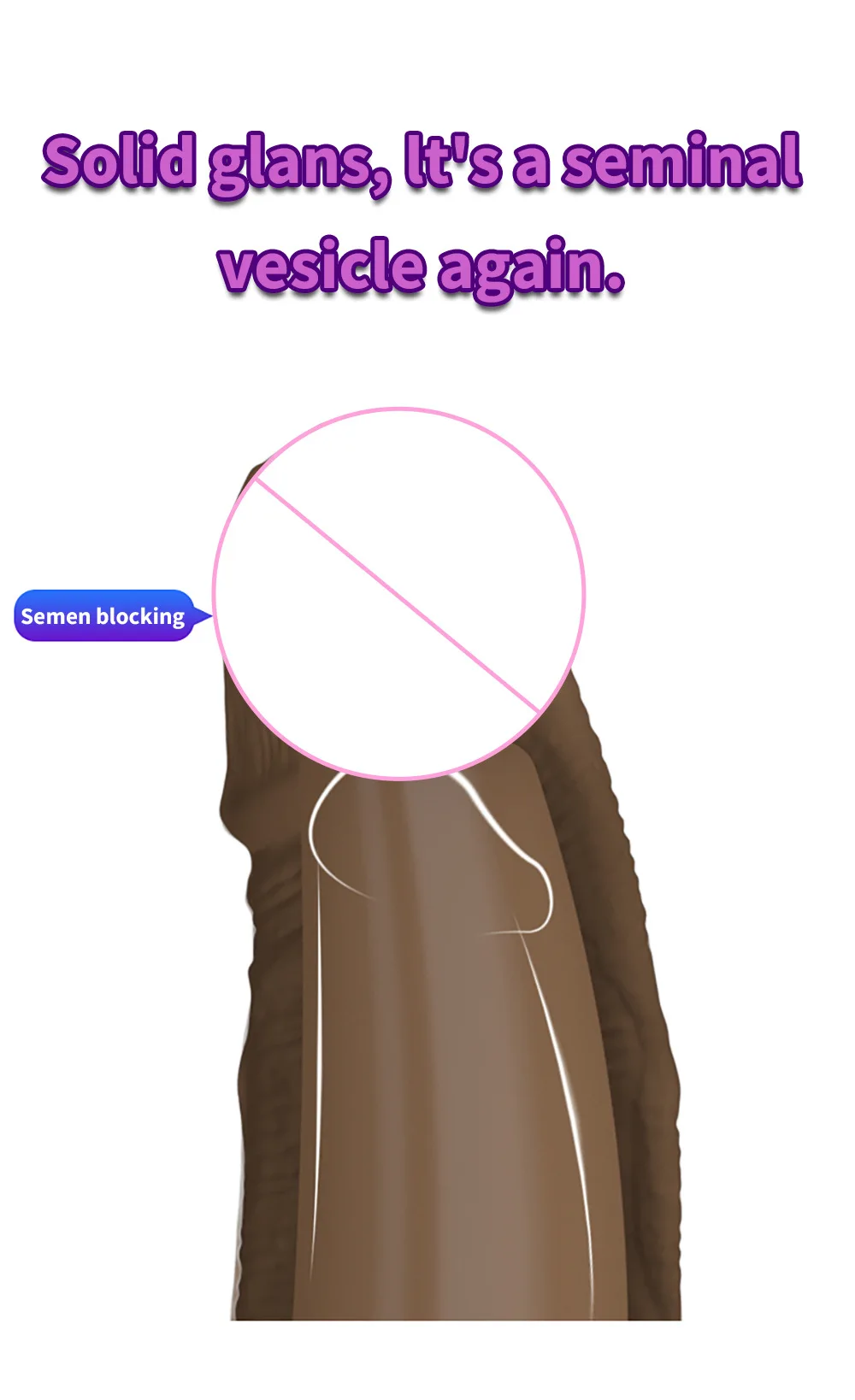 Penis condom (3).jpg