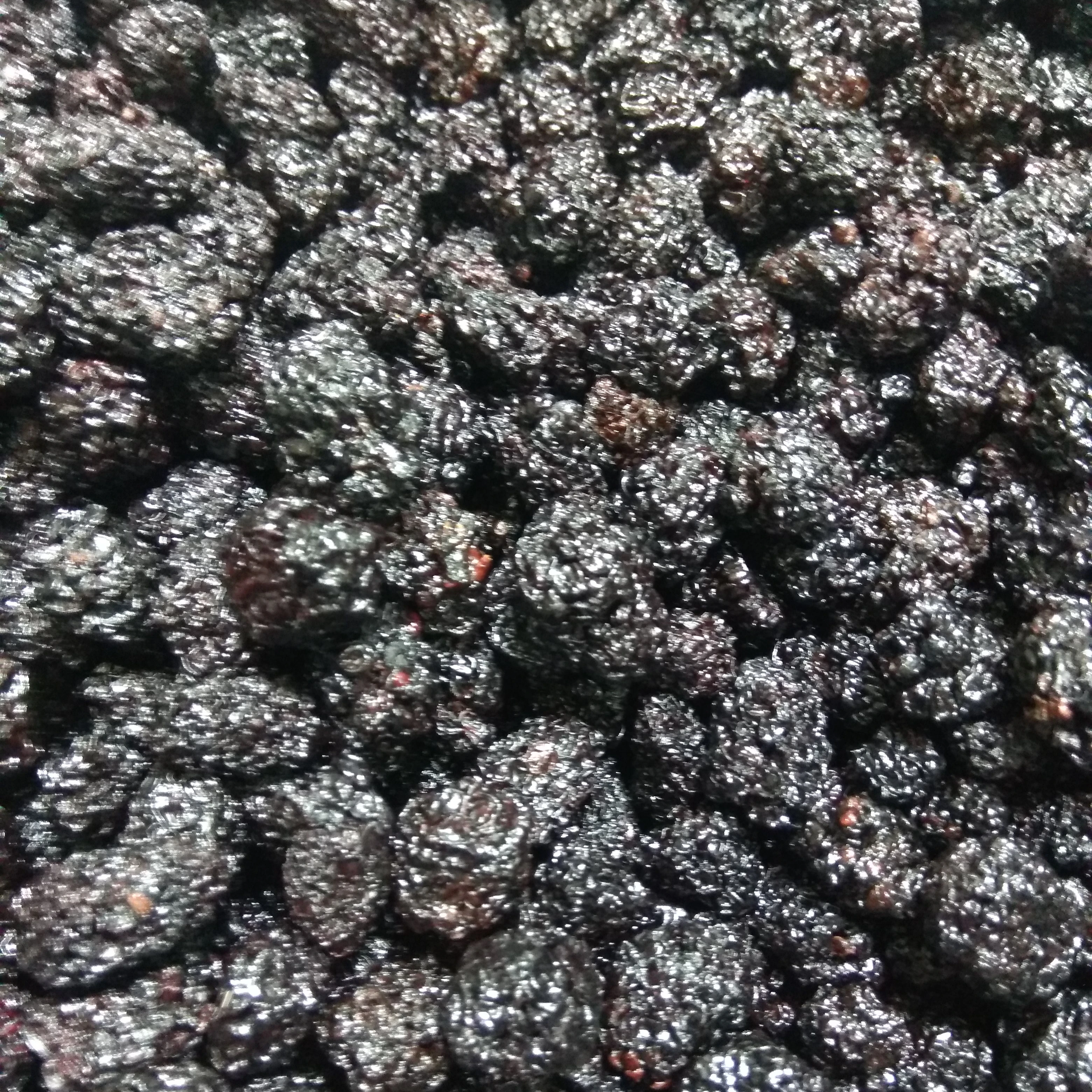 New Healthy Dried Fruit Blackberry Dried Fruit Snack