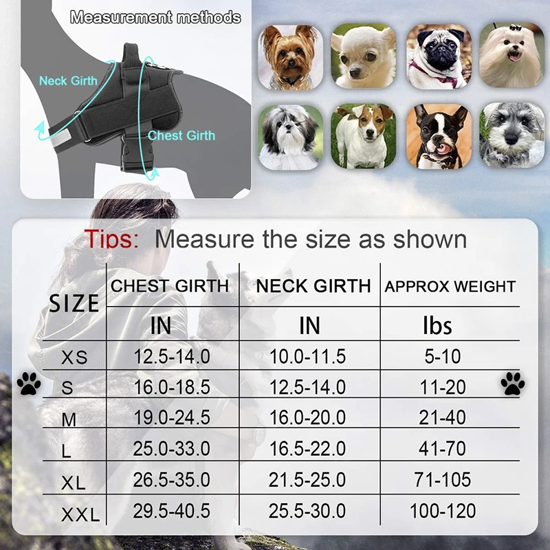 
Pet Harness And Collar, Metal Chain Dog Harness Dog No Pull Harness For Dogs Cat Harness New, Chain Dog Harness Vest 