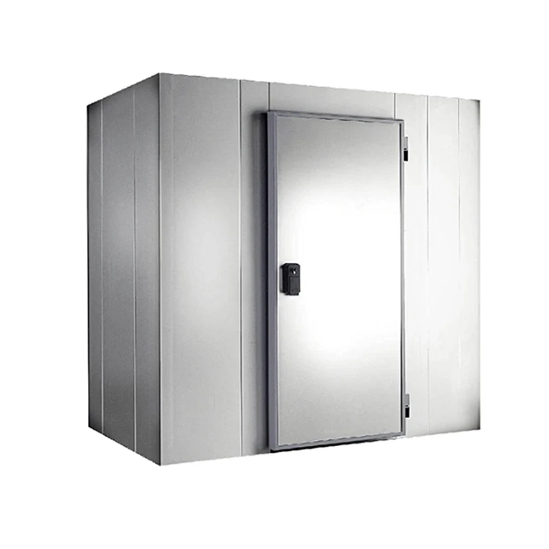 Cold room for dead body Mortuary Freezer Morgue Refrigerator Funeral Corpse Cold Room