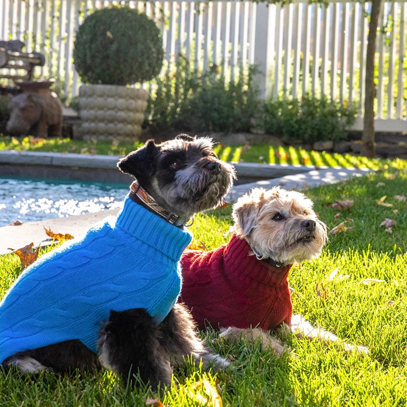 Cat Dog Sweater Free Knitting Pattern Clothes