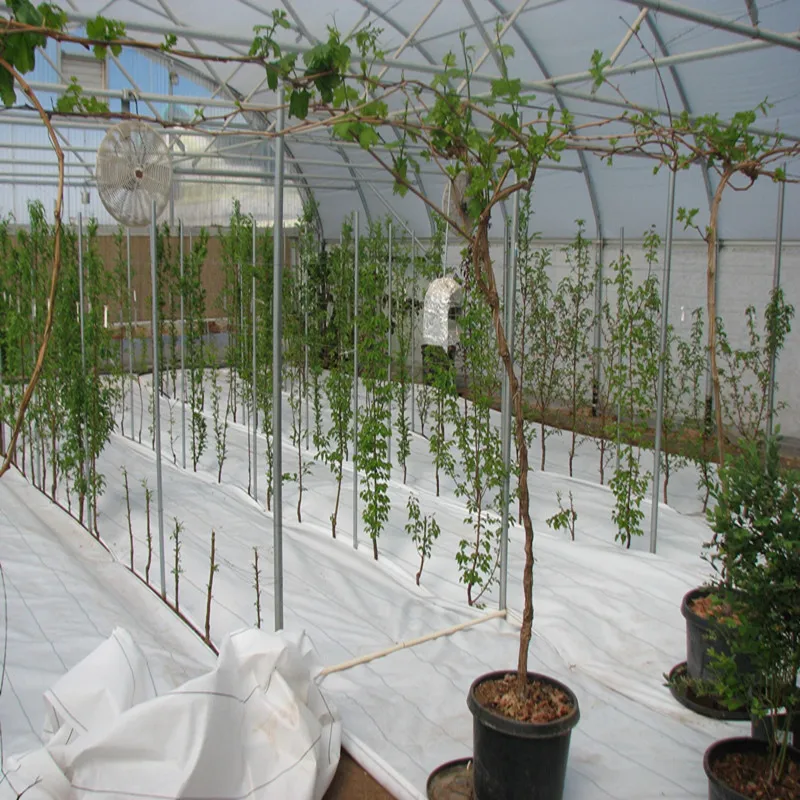 Wholesale Supplier Chile Ground Cover Weedmat Roll