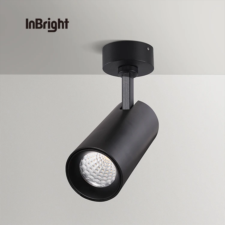 Вращающийся светодиодный потолочный светильник для отеля Dali dimmable 12w 20w 36w IP20 COB Led downlight