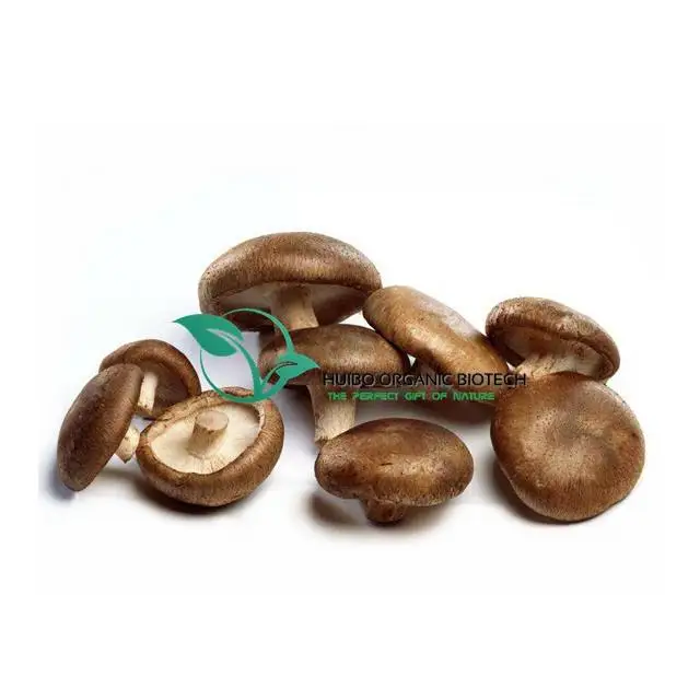 Organic shiitake mushroom /dried  Lentinus edodes whole / slices NOP EU standard