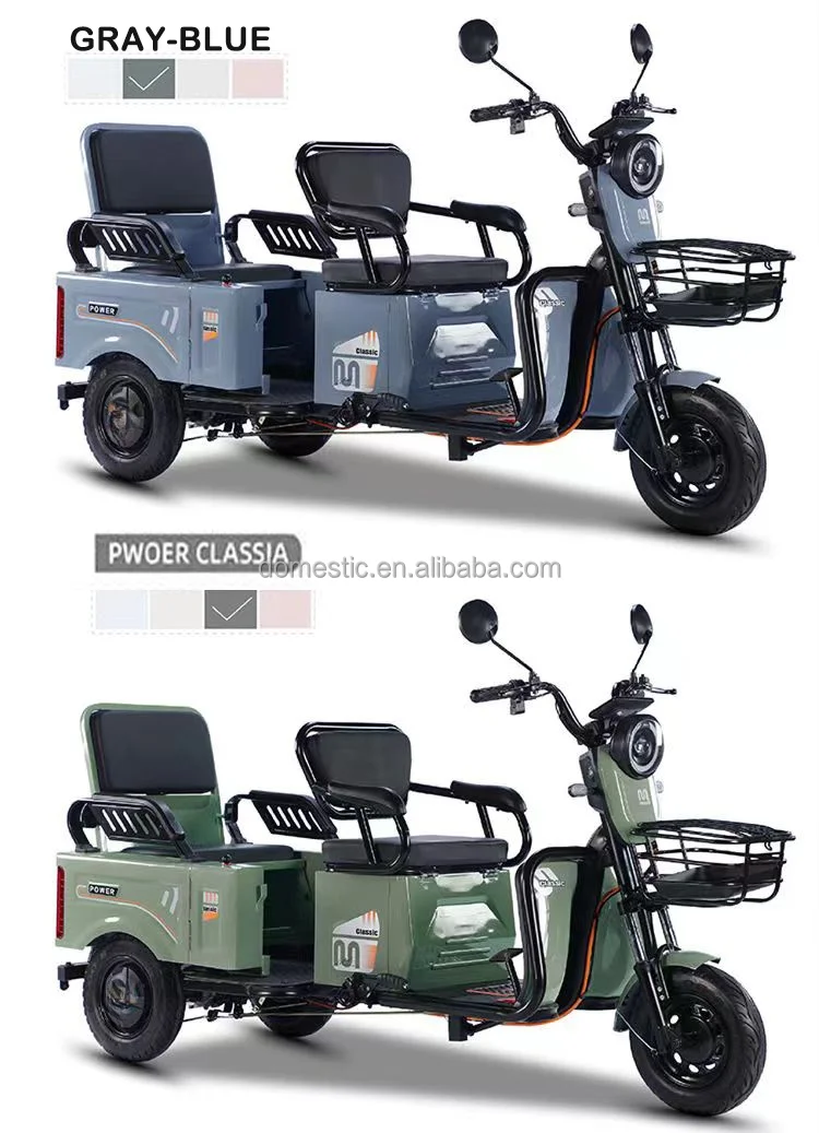 1000W 48V 3 wheel passenger electric tricycle passenger and cargo three wheel electric vehicle electric tricycles for adults