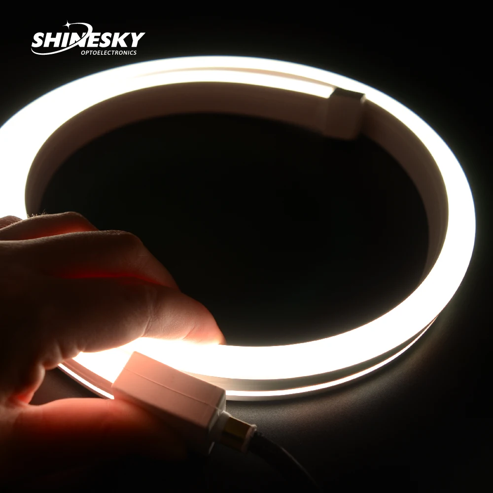 Neon Lighting Ip68 Rgb/Digital Rgb/Single color/CCT1615 Led Neon Strip Neon Led Light Waterproof Outdoor Light For Swimming Pool