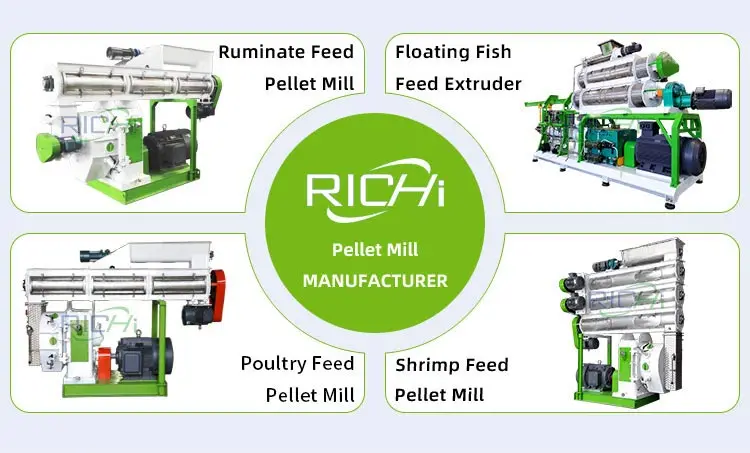 Fish Feed Extruder 01-2