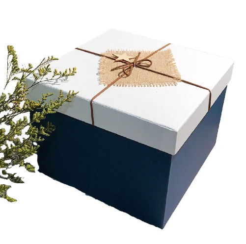 Белая Подарочная коробка с крышкой для предложения магнитом подарочные коробки подарков упаковка на свадьбу Рождество день рождения подарок