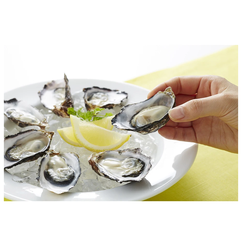 Strong flavor fresh frozen technology Japan in a clean ocean area