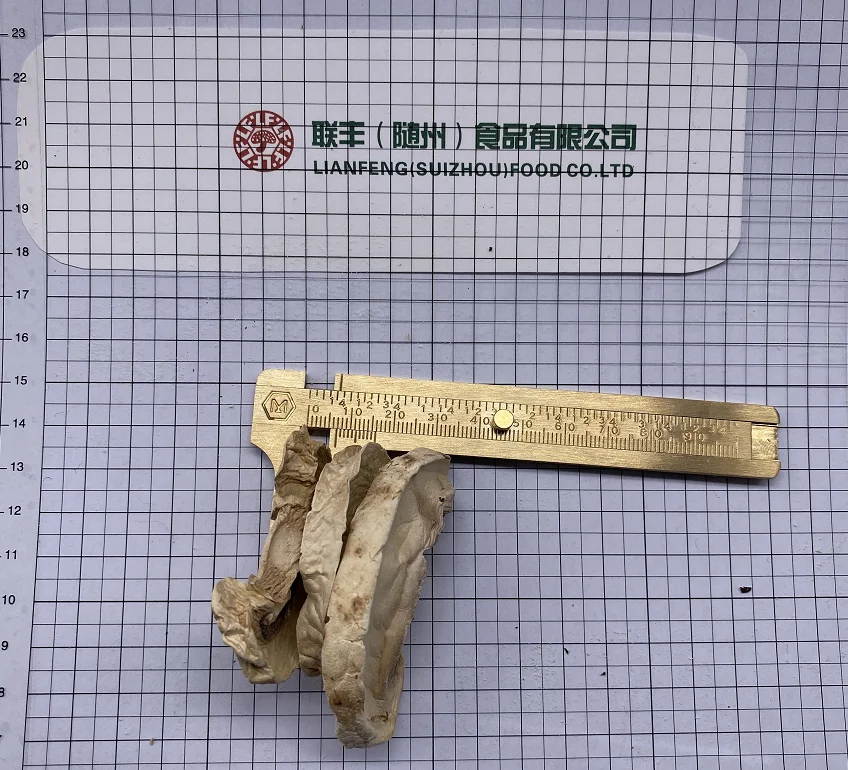 
Wild Dried Funghi Porcini Mushrooms Slices in Bulk Pack 