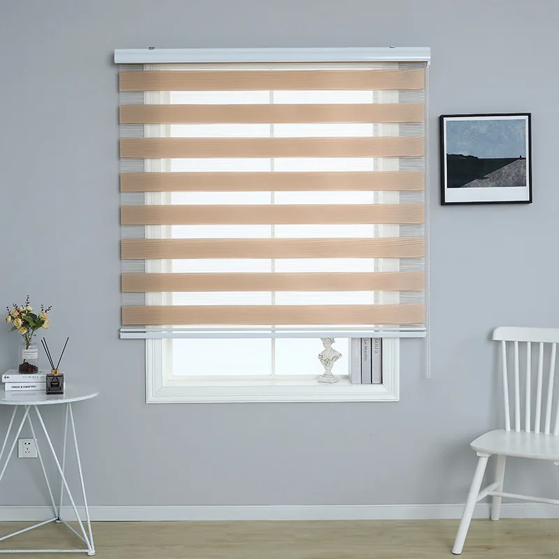 Blinds for Window Dual Layer Roller Zebra Sheer Shades Light Filtering Window Treatments Privacy Zebra Blinds for Day and  night