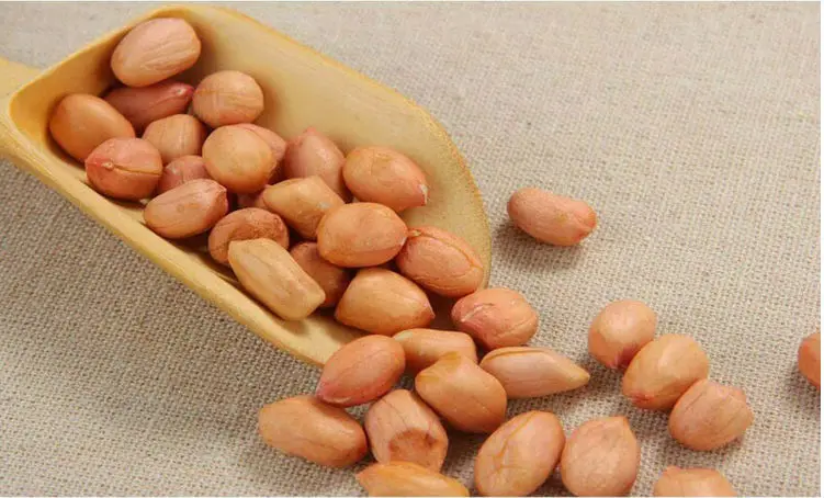 BEST FACTORY PRICE JAVA PEANUT 50 60 COUNT SUPPLIER BULK EXPORTER SELECTED QUALITY SORTEX CLEAN LOW MOISTURE