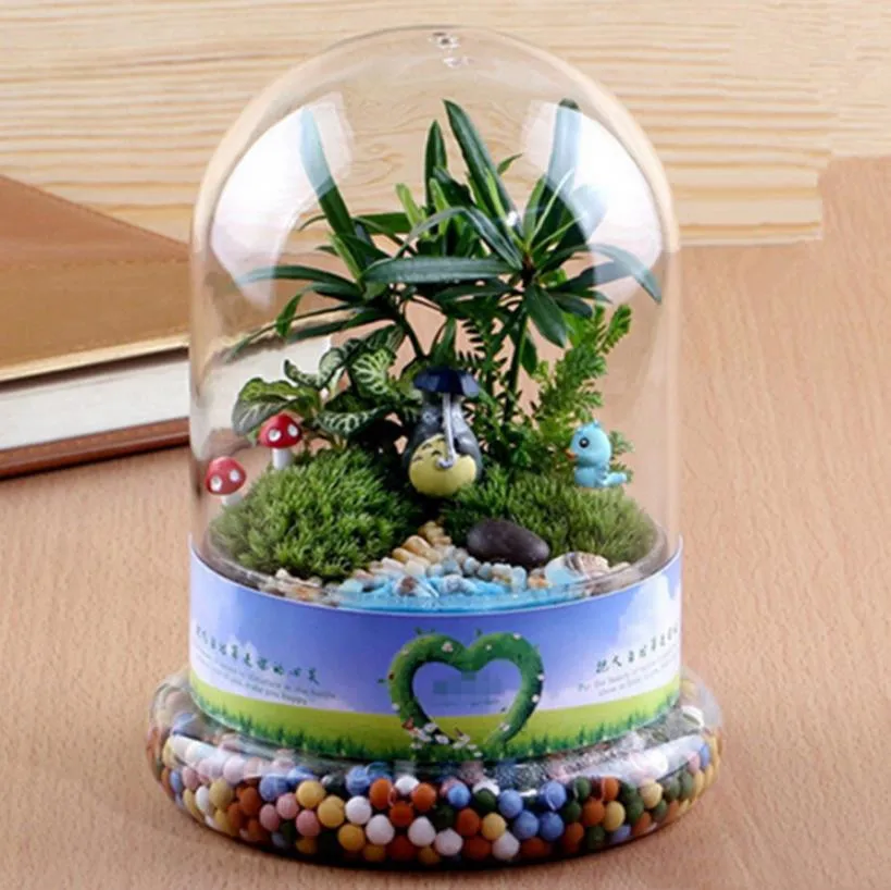 Glass Preserved Flower Dome Display Clear Cloche Bell Jar Terrarium