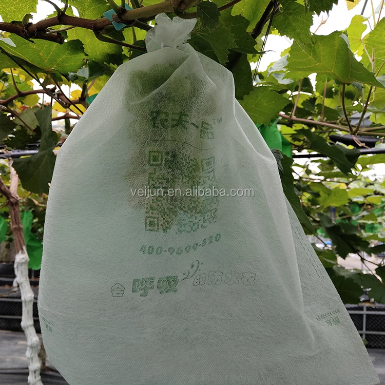 Hight Quality Garden Grape/Banana/Orange Fruit Protection Bags