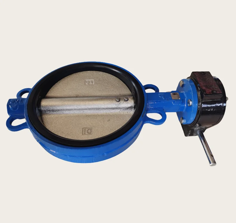 DN250 Ductile Iron Ggg50 Wafer Type Butterfly Valve With Worm Gear Operator Connection to Pn10/Pn16/Cl125/Cl150/JIS 10K