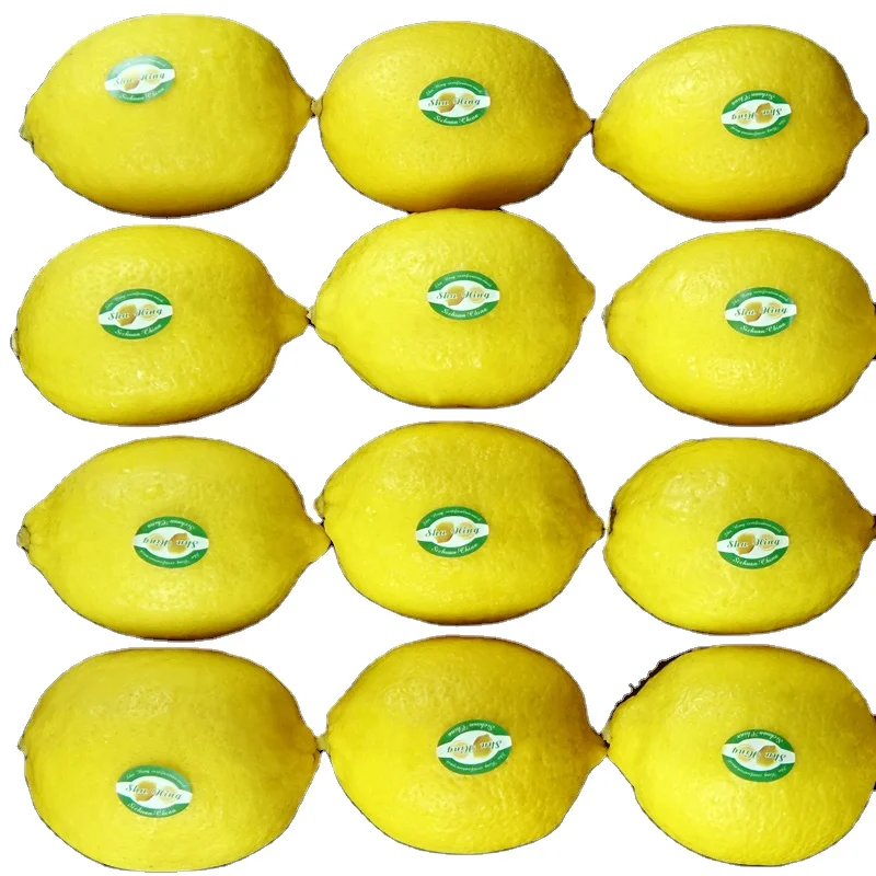 
2020 Factory Direct Supply Premium Quality Price Cheap Fresh Lemon Suppliers 