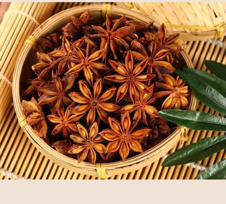 Guangxi manufacturers direct sales of fennel spices Guangxi star anise cinnamon leaves fennel oil cardamom supply