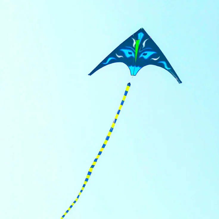 New Design Cartoon Kites For Fun