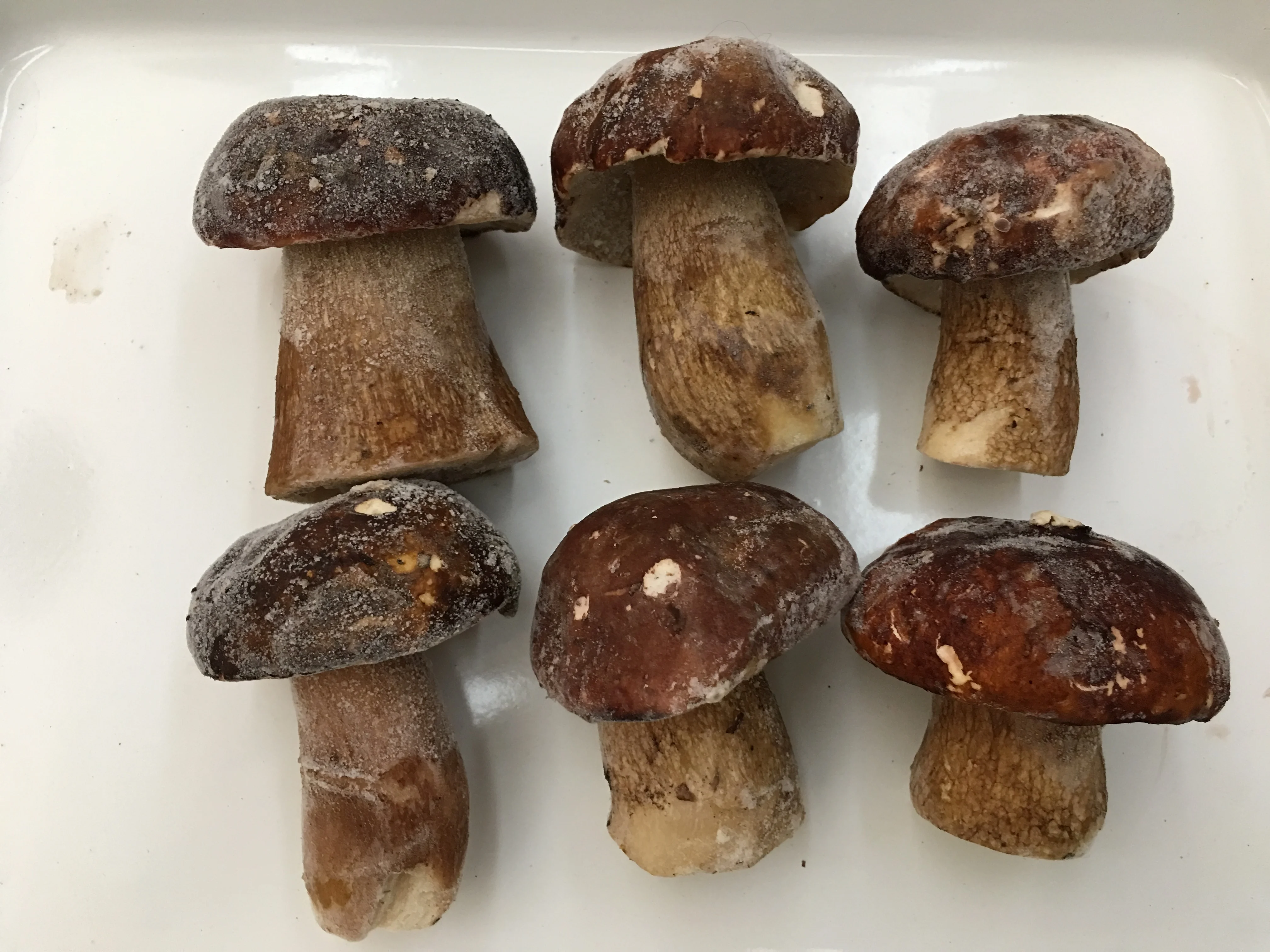 Новый Урожай диких порчини гриб замороженный Boletus Edulis