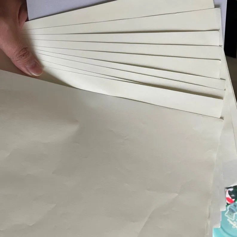 30g  40g  Water Resistant and Impermeable Dictionary Bible Paper