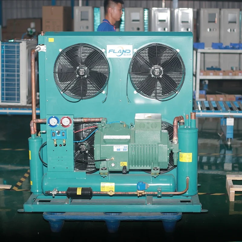 50Hz 60Hz Low Temperature Refrigeration Unit, Cold Room Compressor Unit, Brand Condensing Unit for Ice Cream