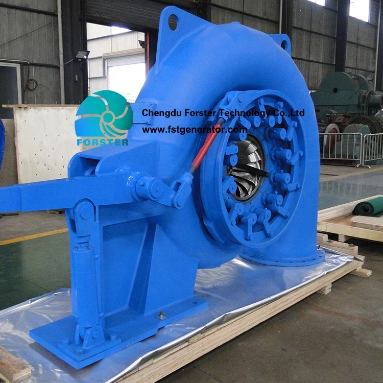 Hydraulic Electric Micro Hydro Electric Plant 300kW Hydro Generator Electric 100kW Water Turbine