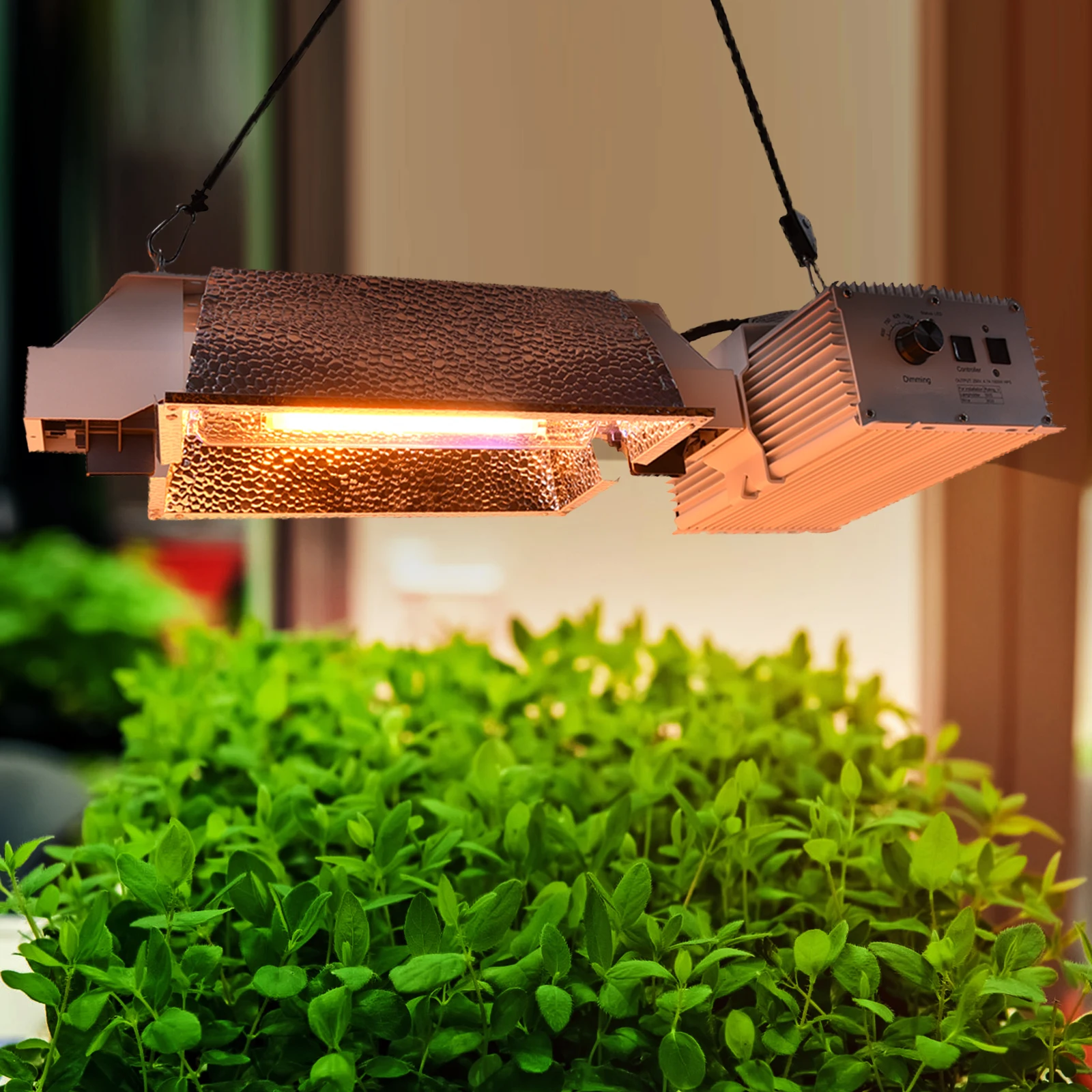 Stock In USA FREE SHIPPING High lumen 160000lm 120-240V 1000W HID grow light hps integrated de system with ballast CE ETL RoHS