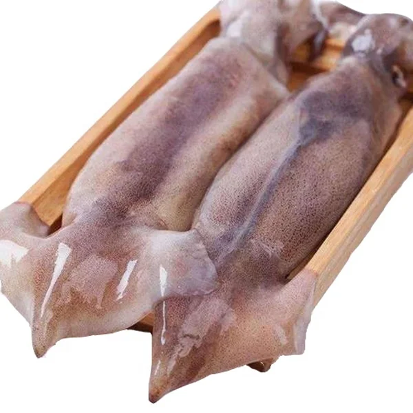 Frozen Fresh of Argentina Illex Squid Whole Round