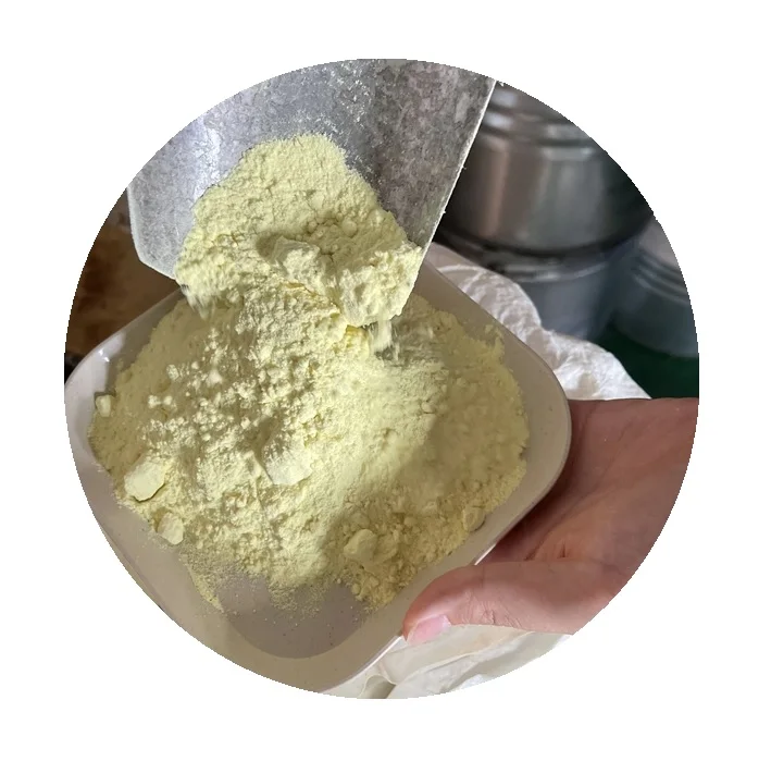 Manufacture Offer Olive Leaf Extract CAS 508-02-1 Oleanolic Acid Powder Ligustrum Extract Oleanolic Acid Raw Material Oleanolic