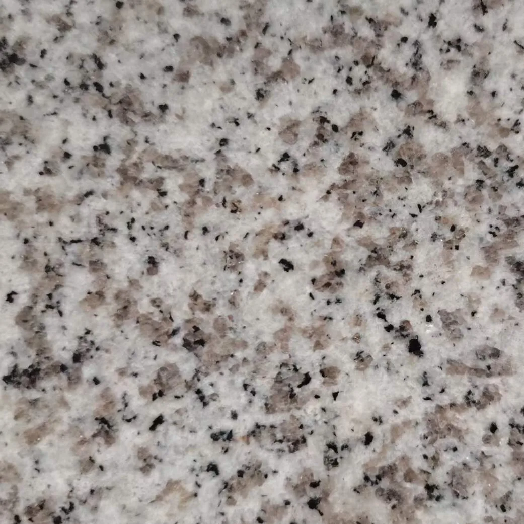 Wholesale  Hot Sale Bottom Price  G603  Granite Banco White Granite  Sardo White Granite