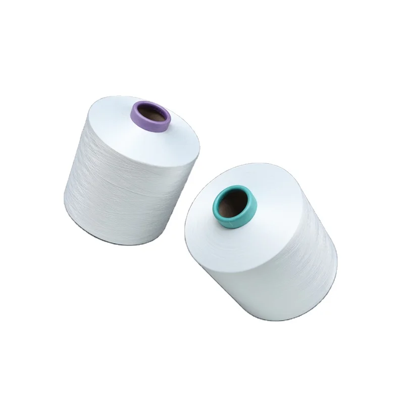  High Tenacity DTY 150D/144F Raw White SIM 100% Polyester Crochet