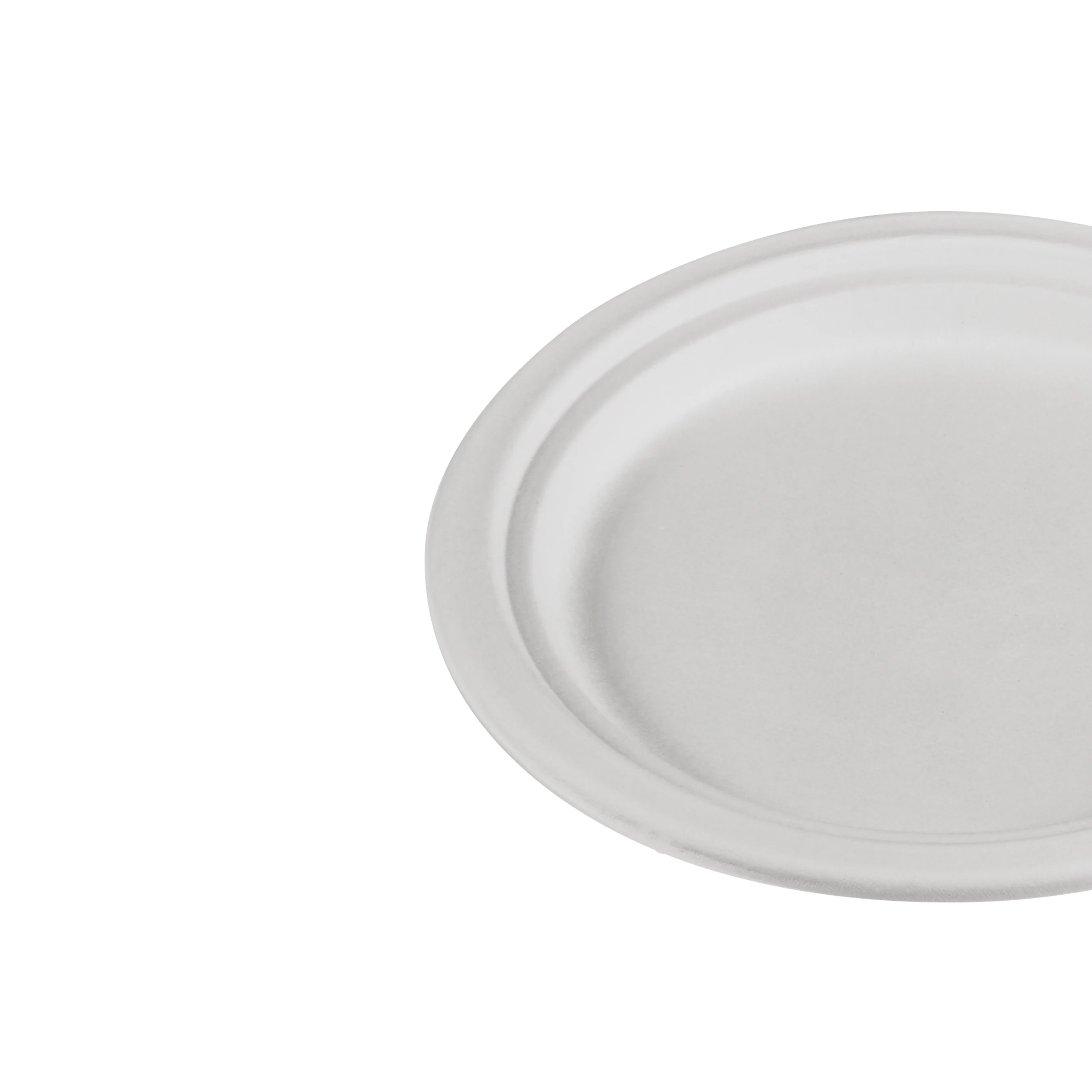 Compostable Sugarcane Pulp Plate,Disposable Pizza Plate Fruit Salad Plate