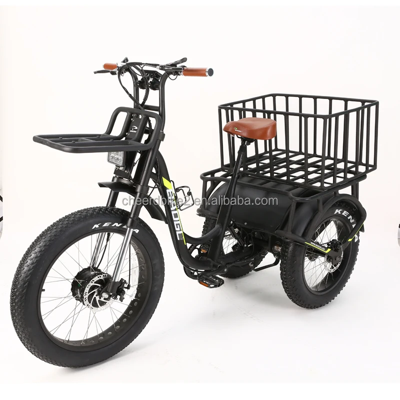Three Wheel Bike 1.jpg