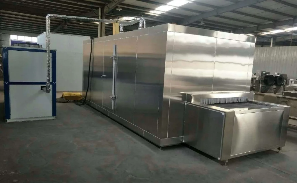 
iqf frozen fruit machinery / vegetable quick freezing equipment / individual quick freezer 