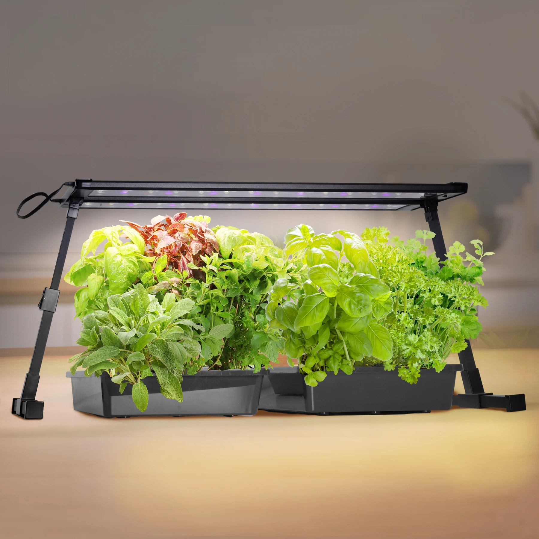 J&C 48W Pro Seedling LED Grow Light Large Panel Nursery Plant Light Height Adjustable Plant Light Hanging