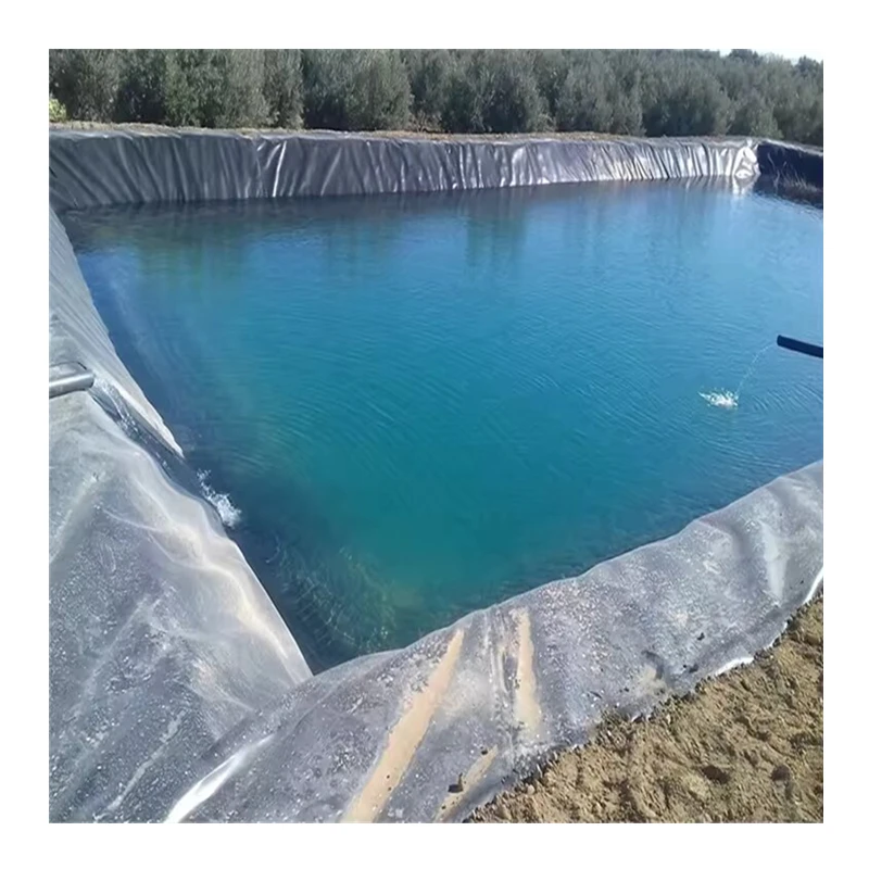 high quality factory wholesale price hdpe geomembrane liner pp plastic sheet geomembrane price fish ponds for fish farming