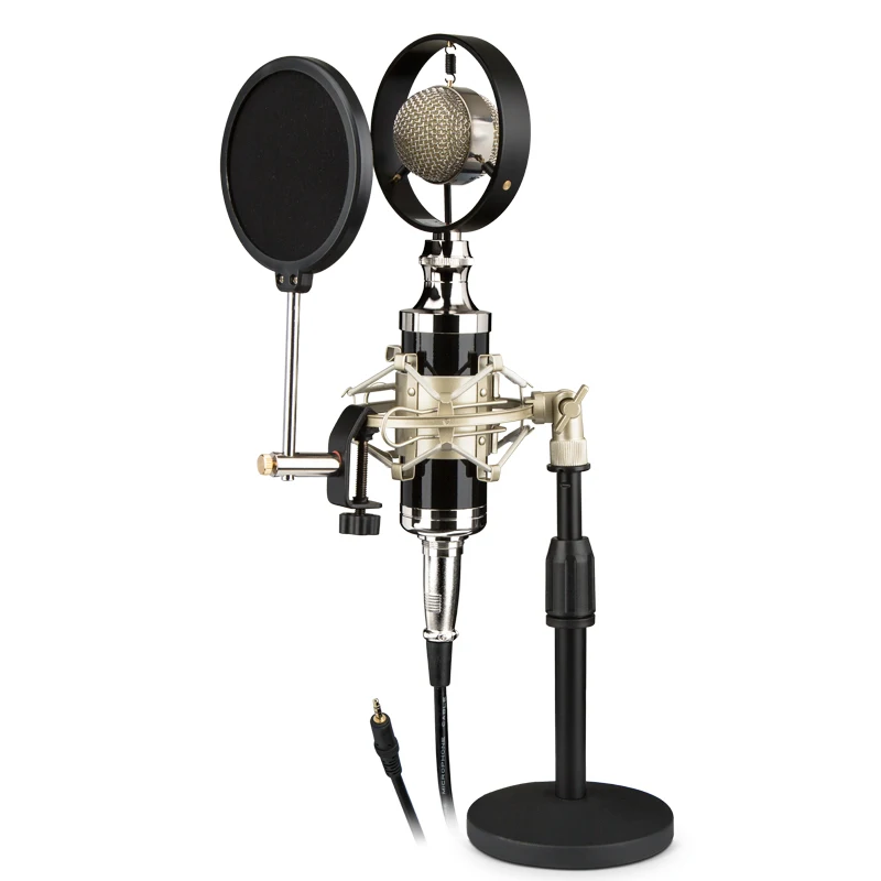 2020 новый стиль профессиональная студия USB проводной ручной микрофон вокальный конденсаторный микрофон