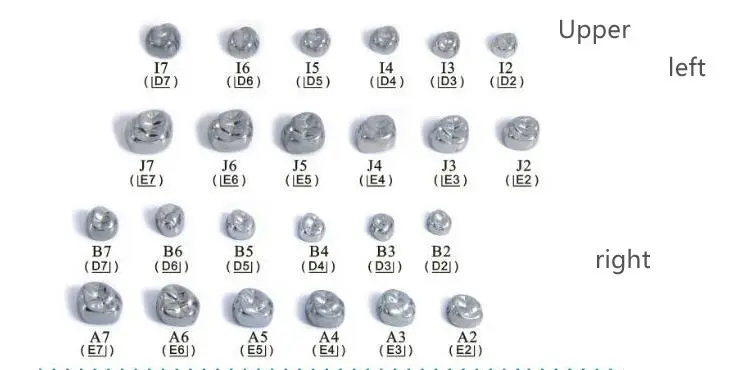 Kids Crown Stainless Steel Primary Molar Crown Dental Temporary Crown