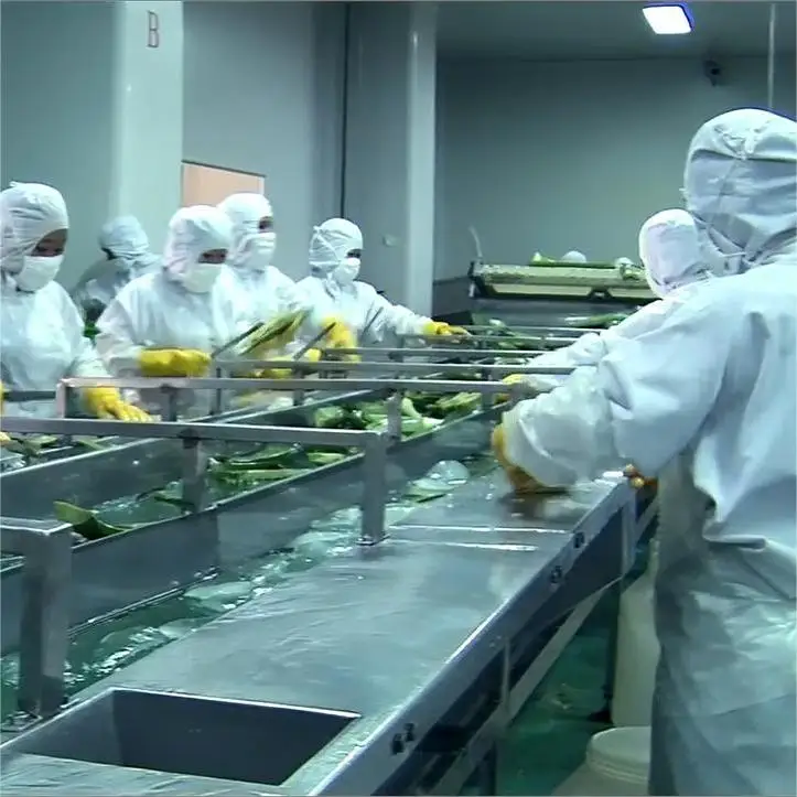 Organic Aloe Vera Gel For Skin Hair Face - 100% Pure Natural Freshly Aloe barbadensis Cold Pressed | Wholesale Price, Bulk 1kg