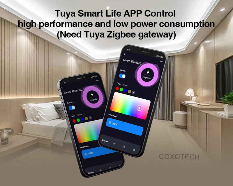 C02Z Tuya Zigbee RF LED CCT Controller